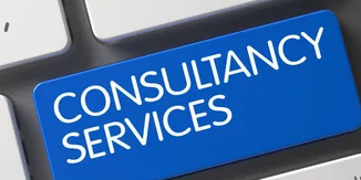 How IT Consulting Services Can Expand Your Business Horizons – 2025